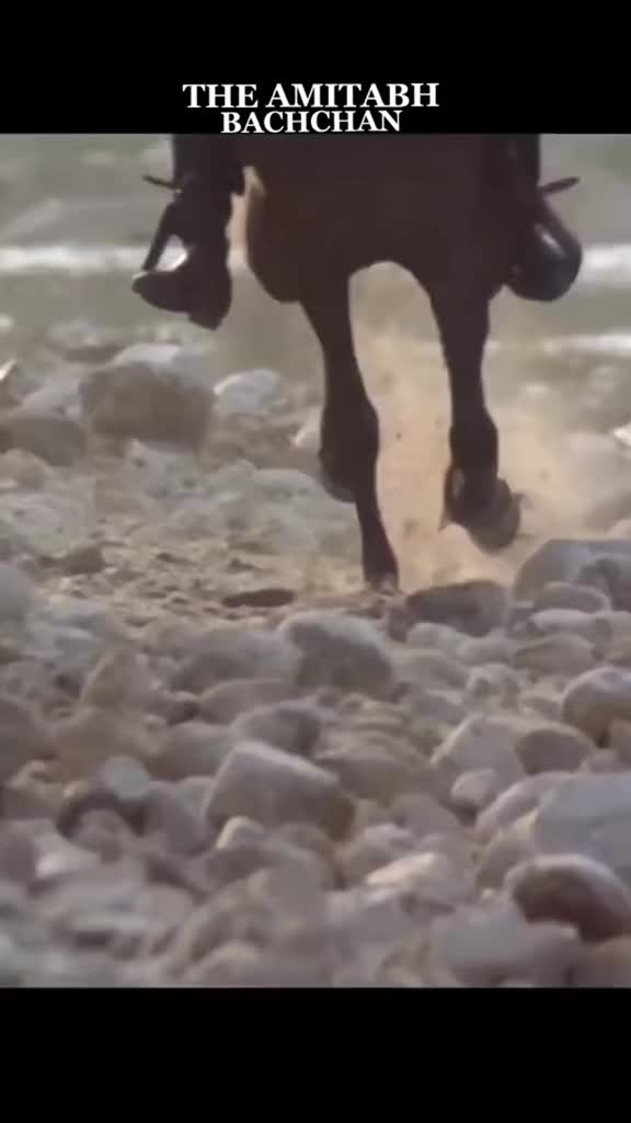 @𝐀𝐌𝐈𝐓𝐀𝐁𝐇 𝐁𝐀𝐂𝐇𝐂𝐇𝐀N