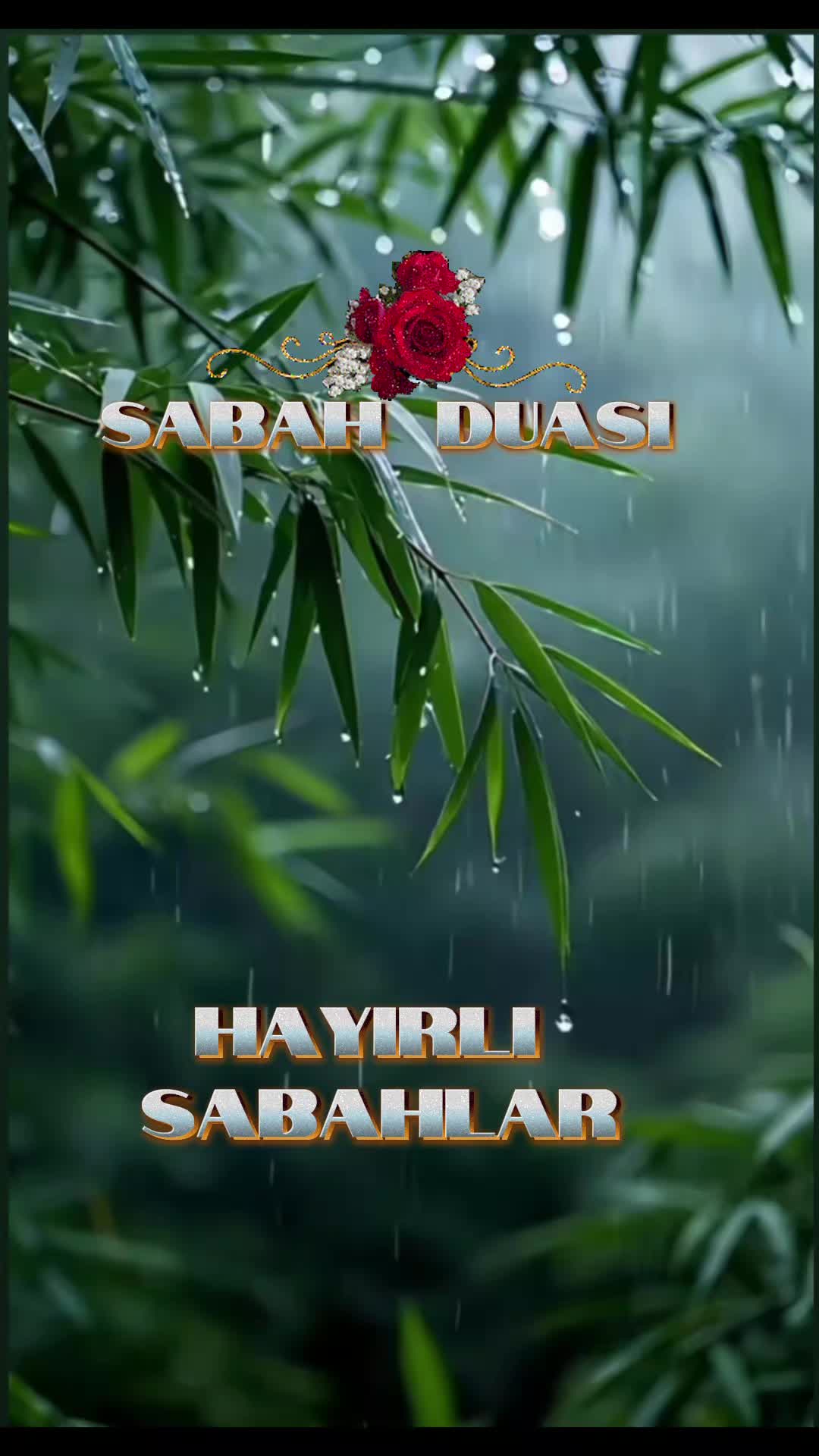 @🍃🌹🍃Merry🍃🌹🍃