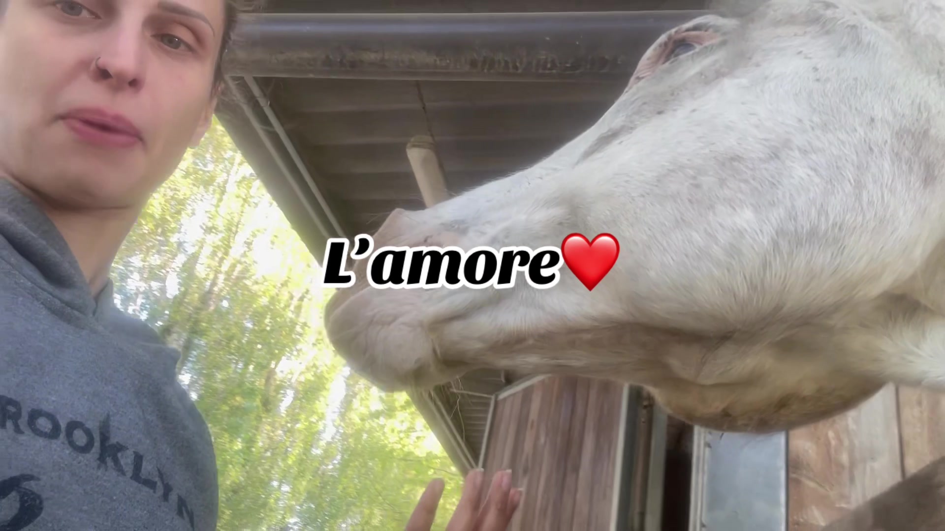 @Passione animali ❤️
