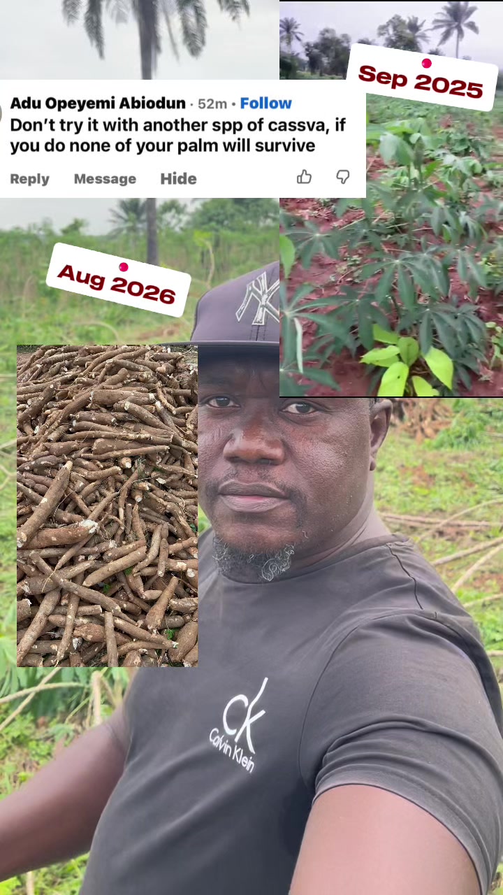 @BabaObaTv @Yuki Agro limited