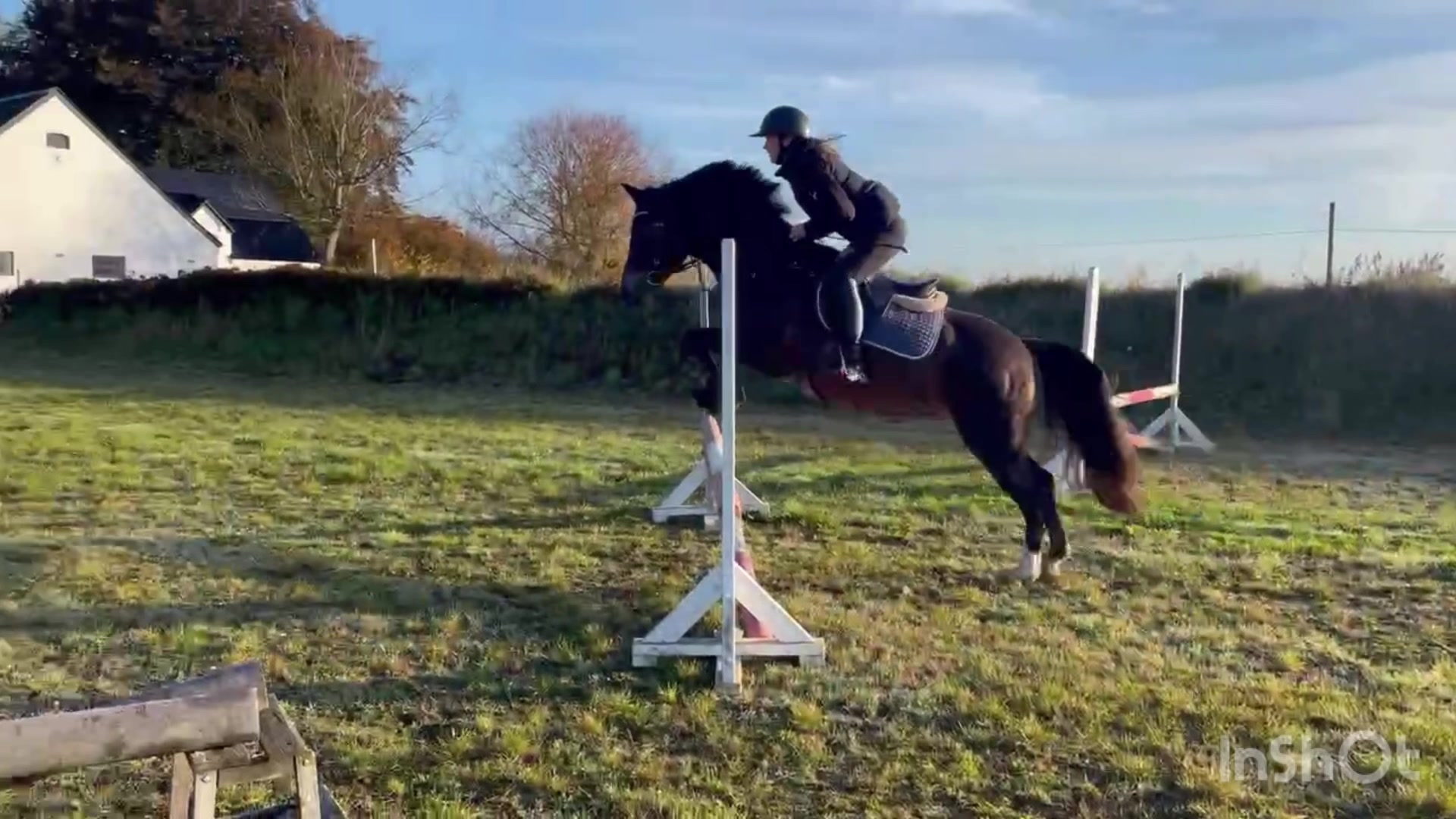 @Cathrine_equestrian🤍