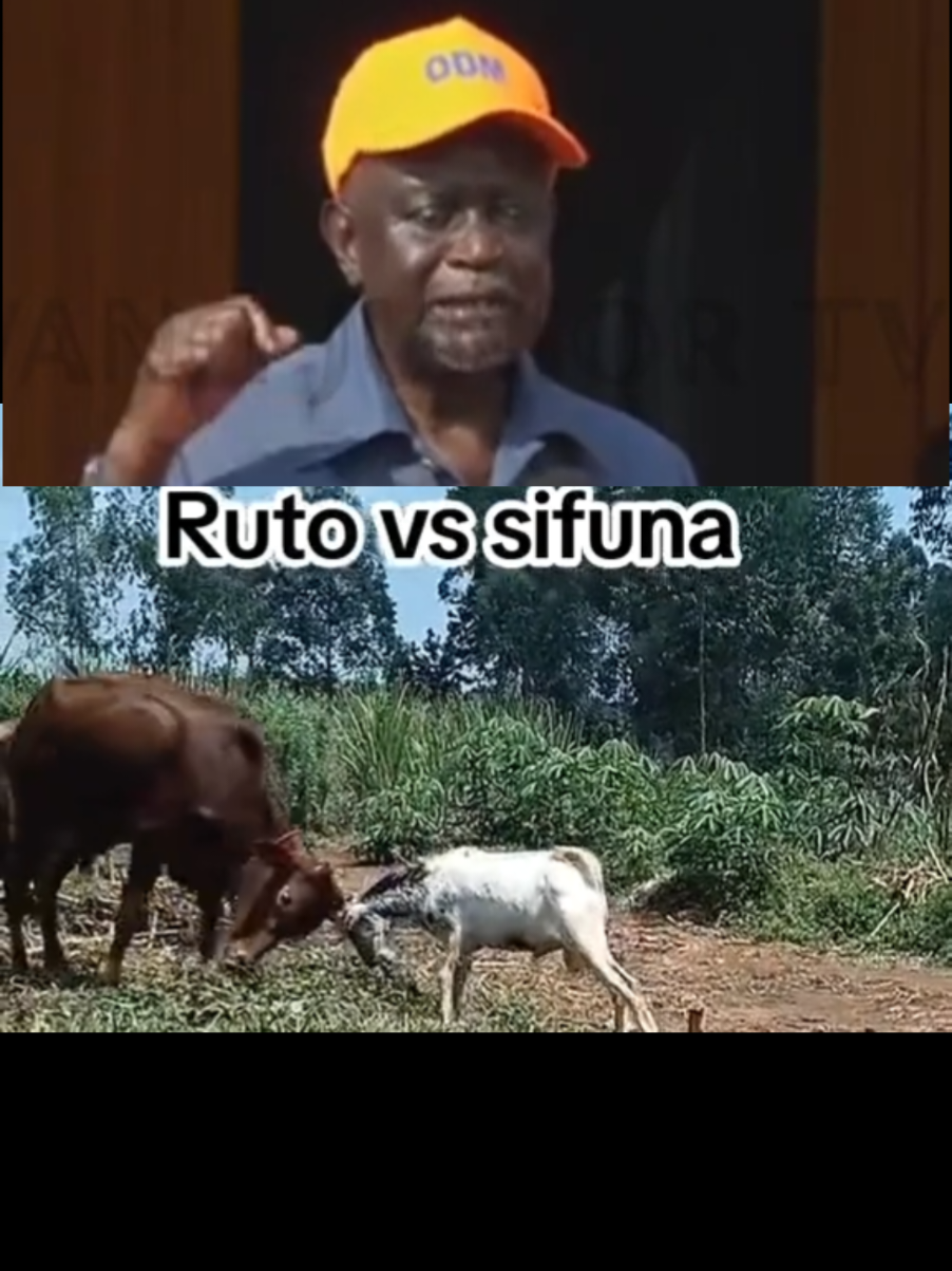 @Kipnoma, PhD