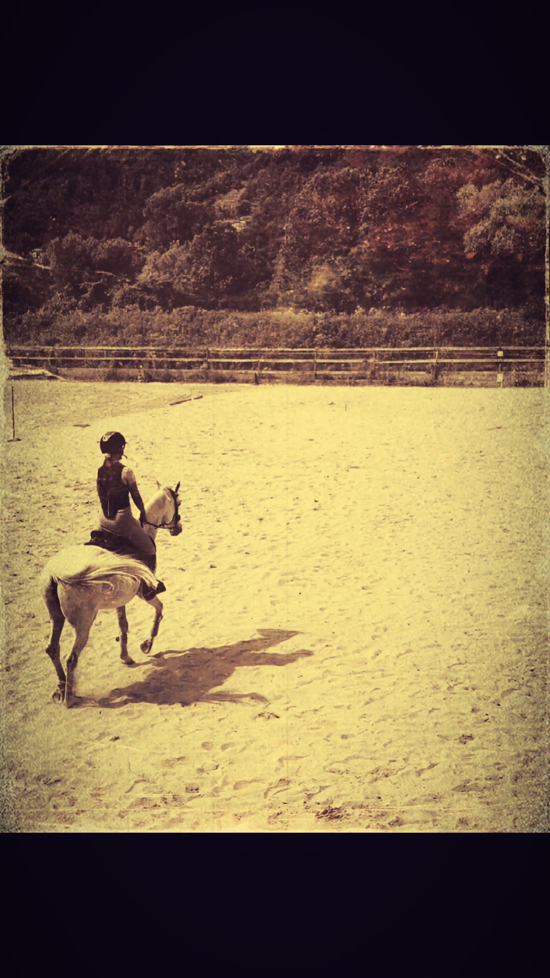 @Blue Valley Farm