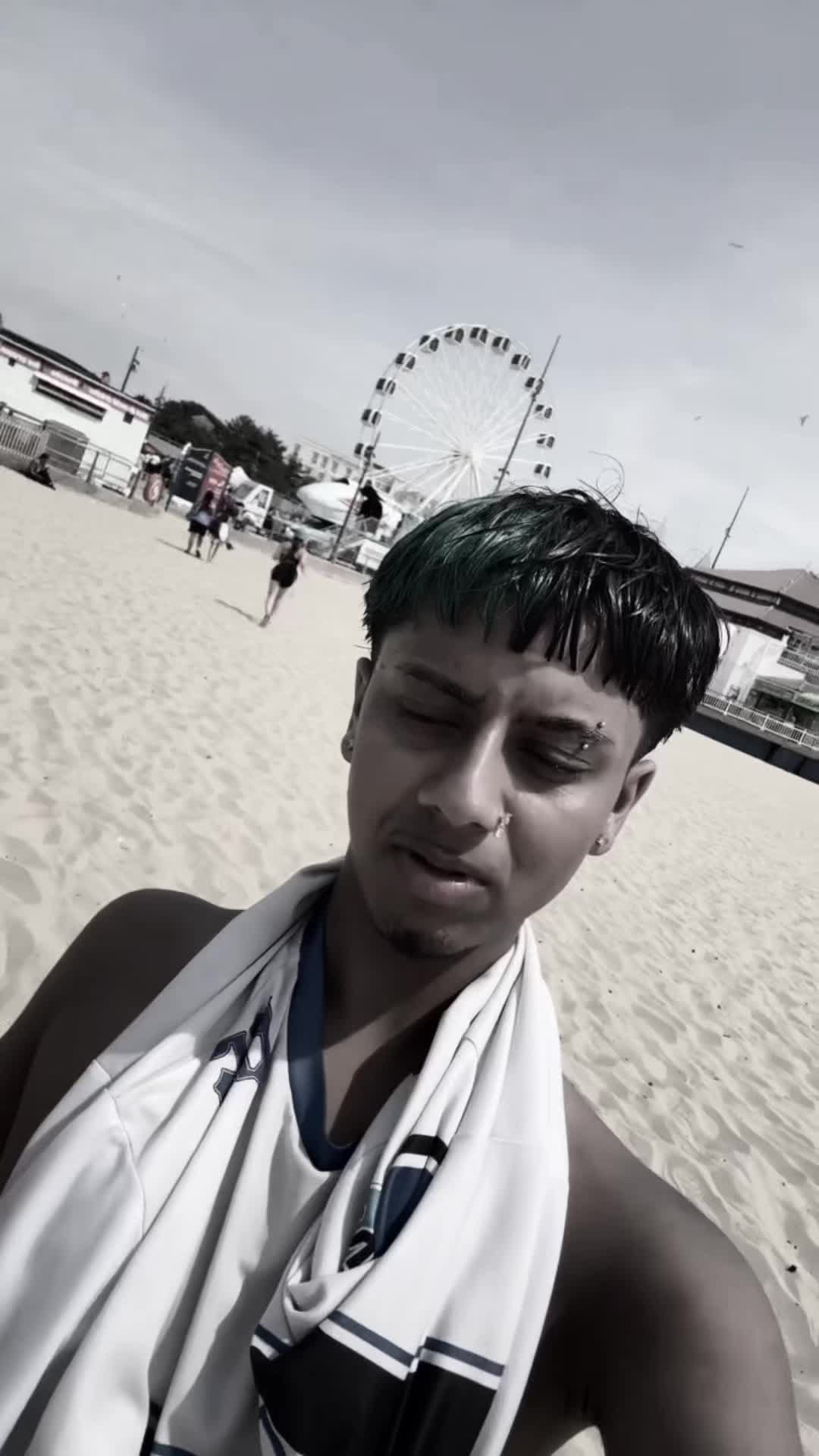 @Shammy 👑