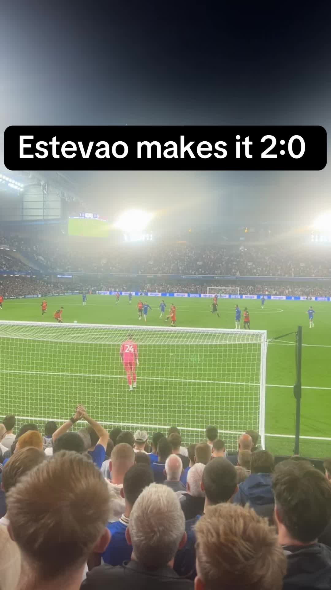 @BLUESFANTV