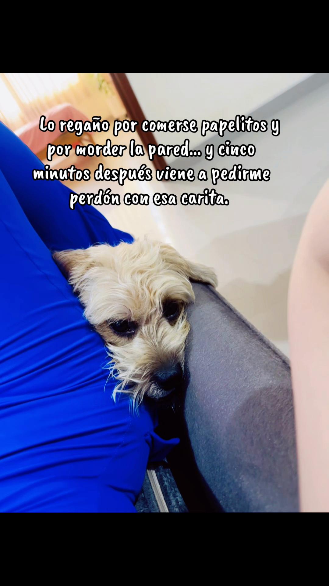 @katty