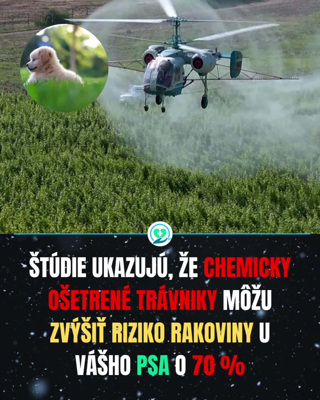 @ZDRAVPOINT