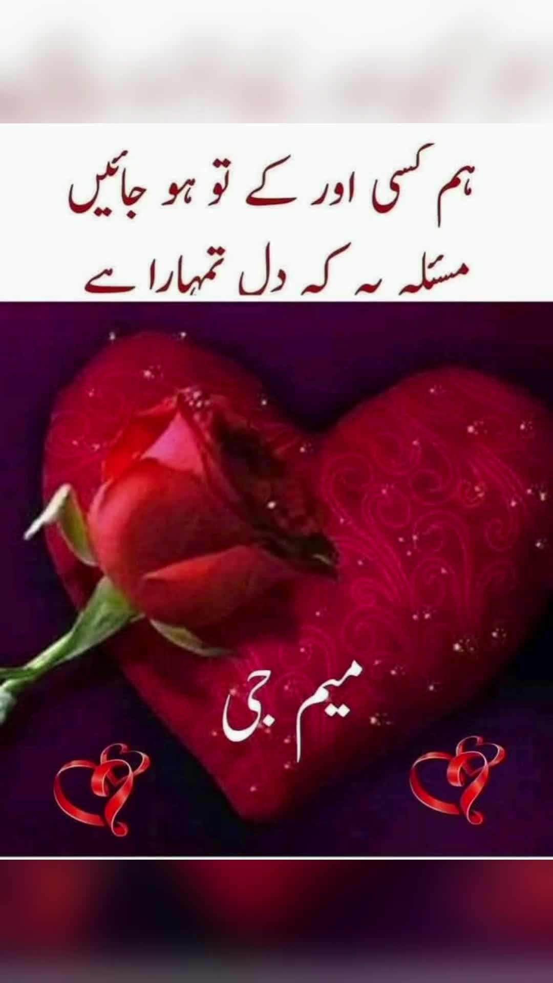 @🌹MeEm jEe SHeIkH میم جی 🌹Uk