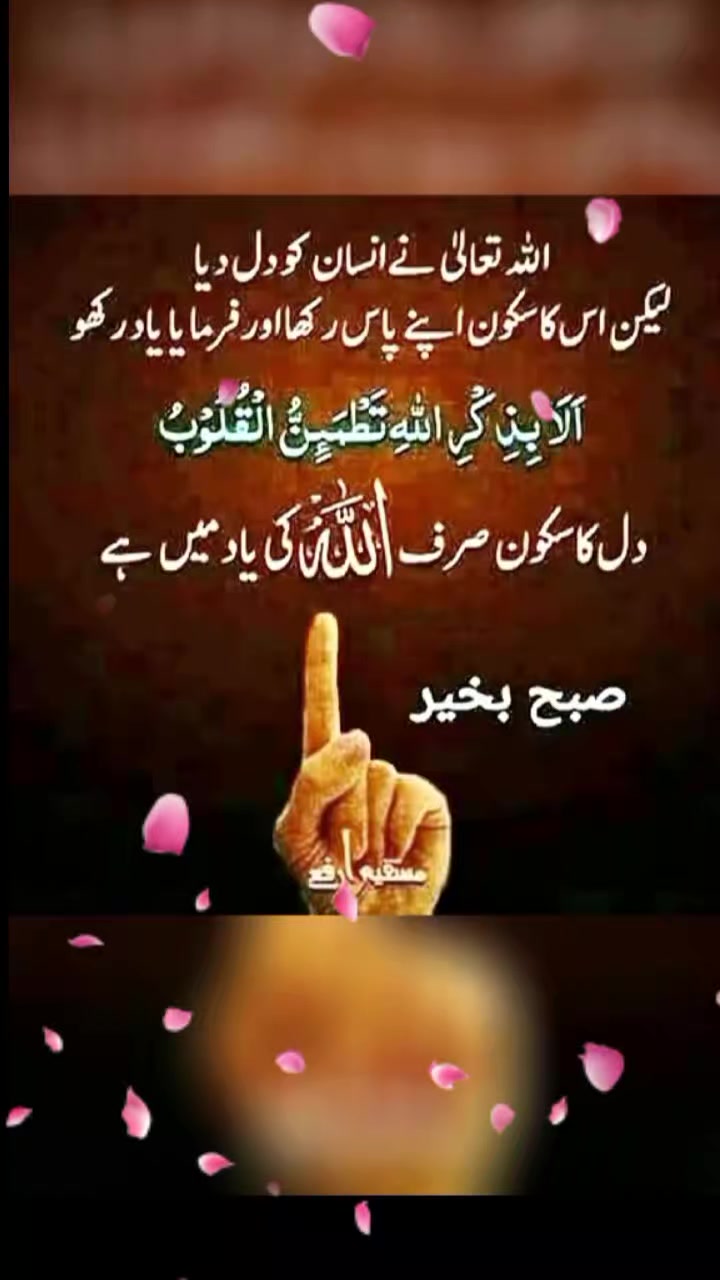 @Dua fatima
