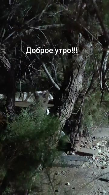 @v