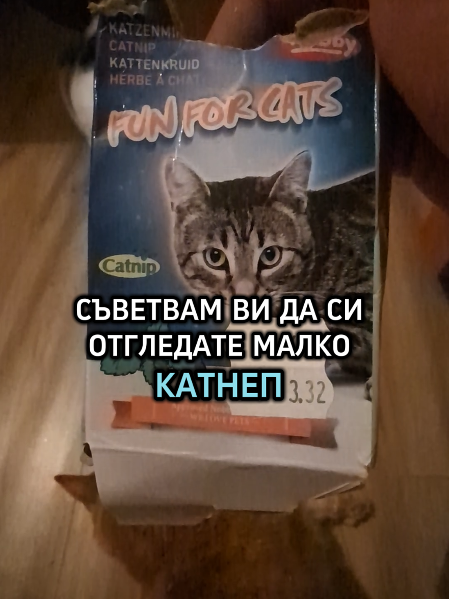 @Valentin B Naumov