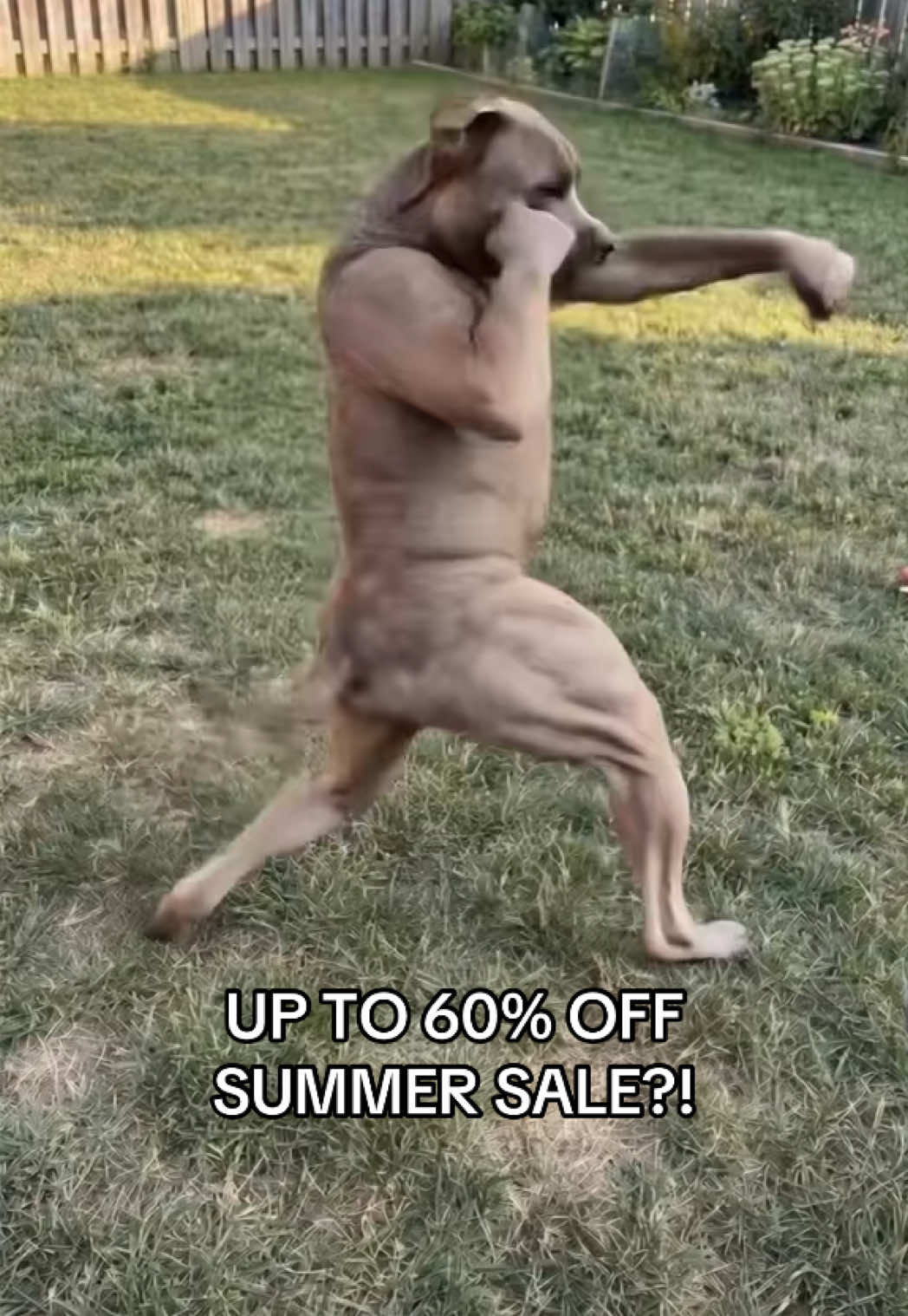 @BOXRAW