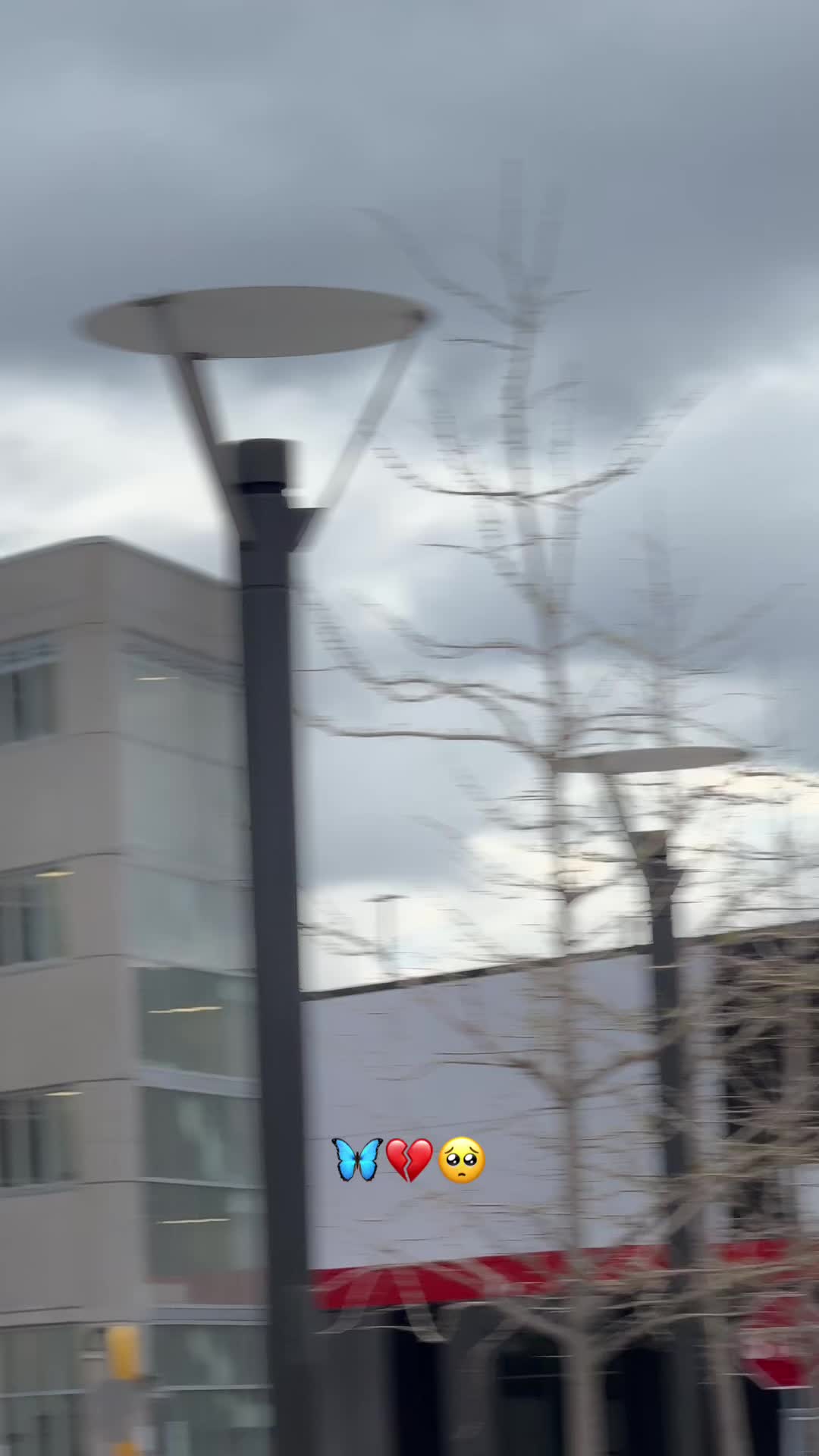 @𝐃𝐀𝐑𝐌𝐀𝐍🦋