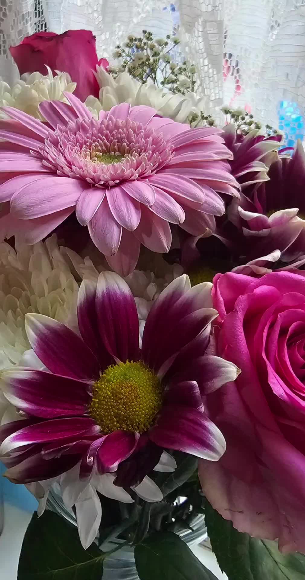 @shaz786🦋🦋🌺