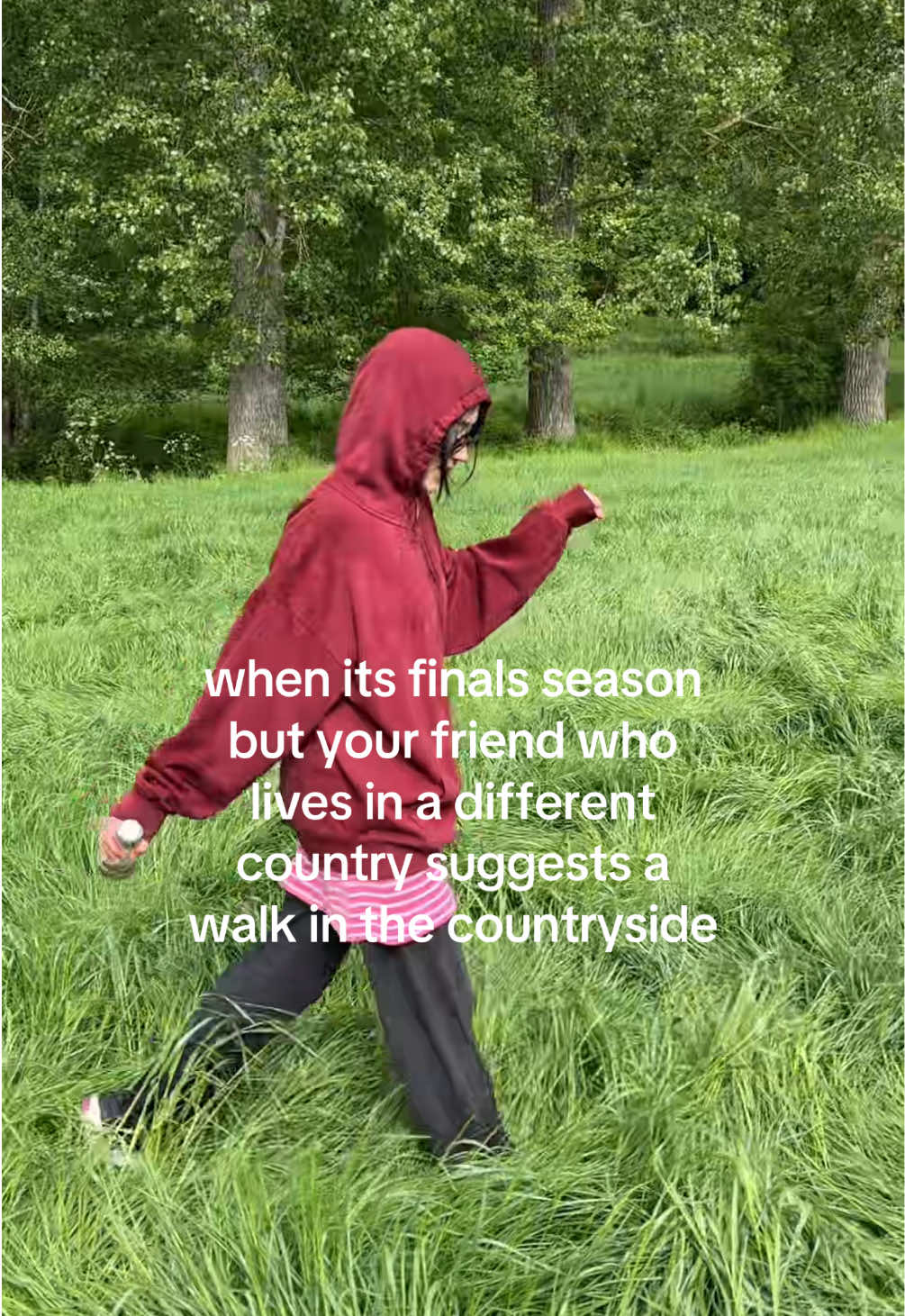 @aleks