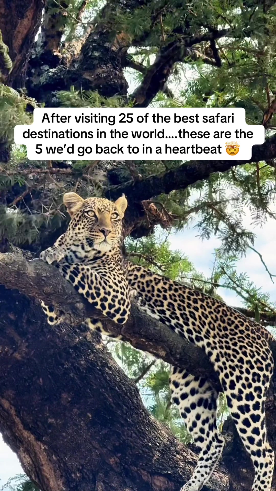 @Mr & Mrs D Adventures