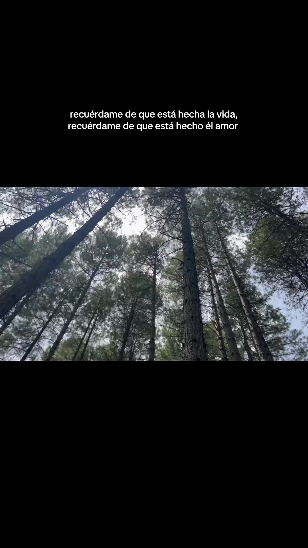 @Carmen Lario