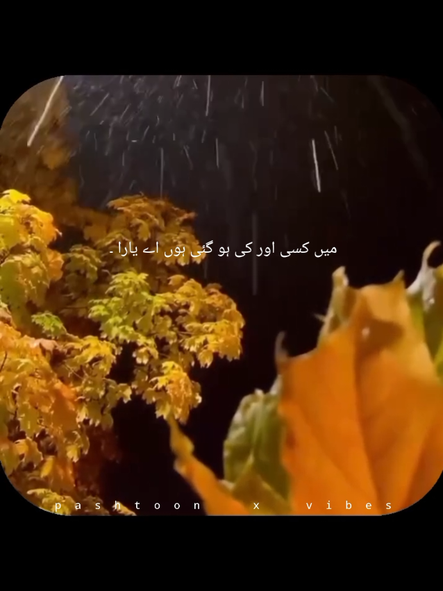 @pashtoon vibes