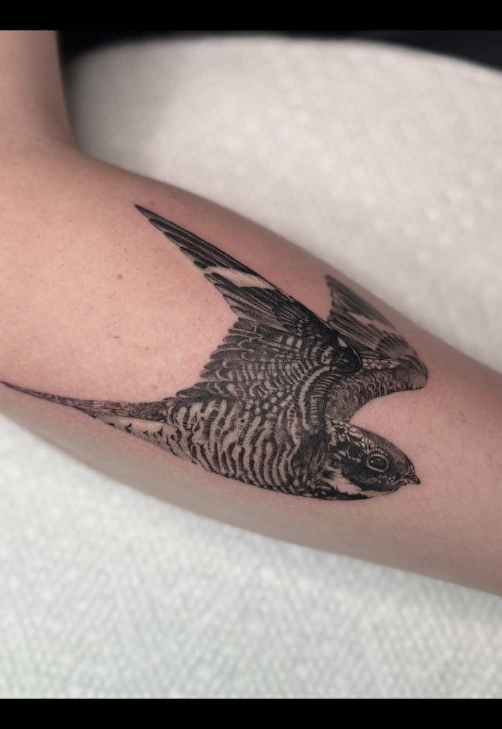 @TurnipGirl Tattoo