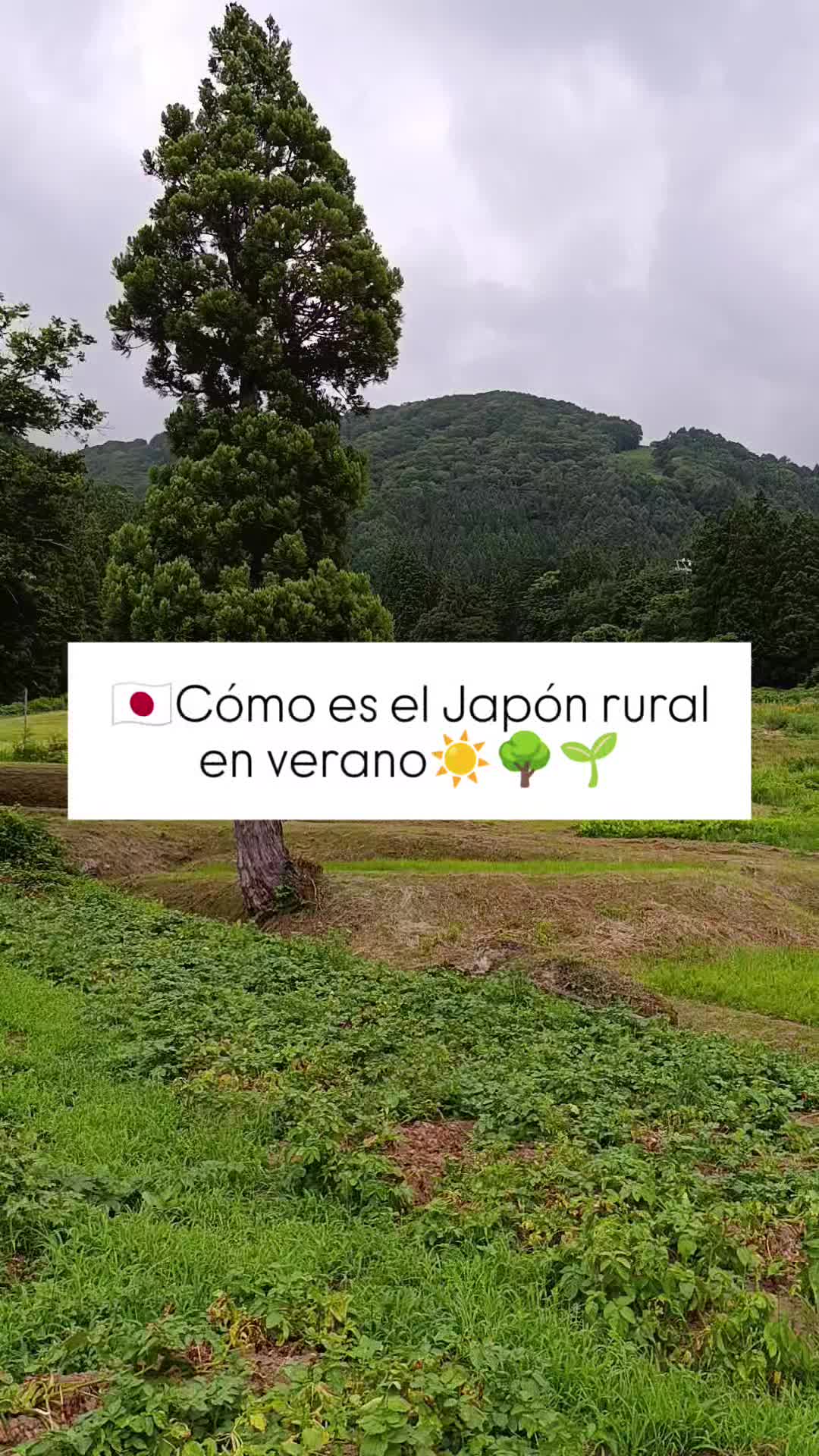 @Andaluza por el Japón Rural⛩️