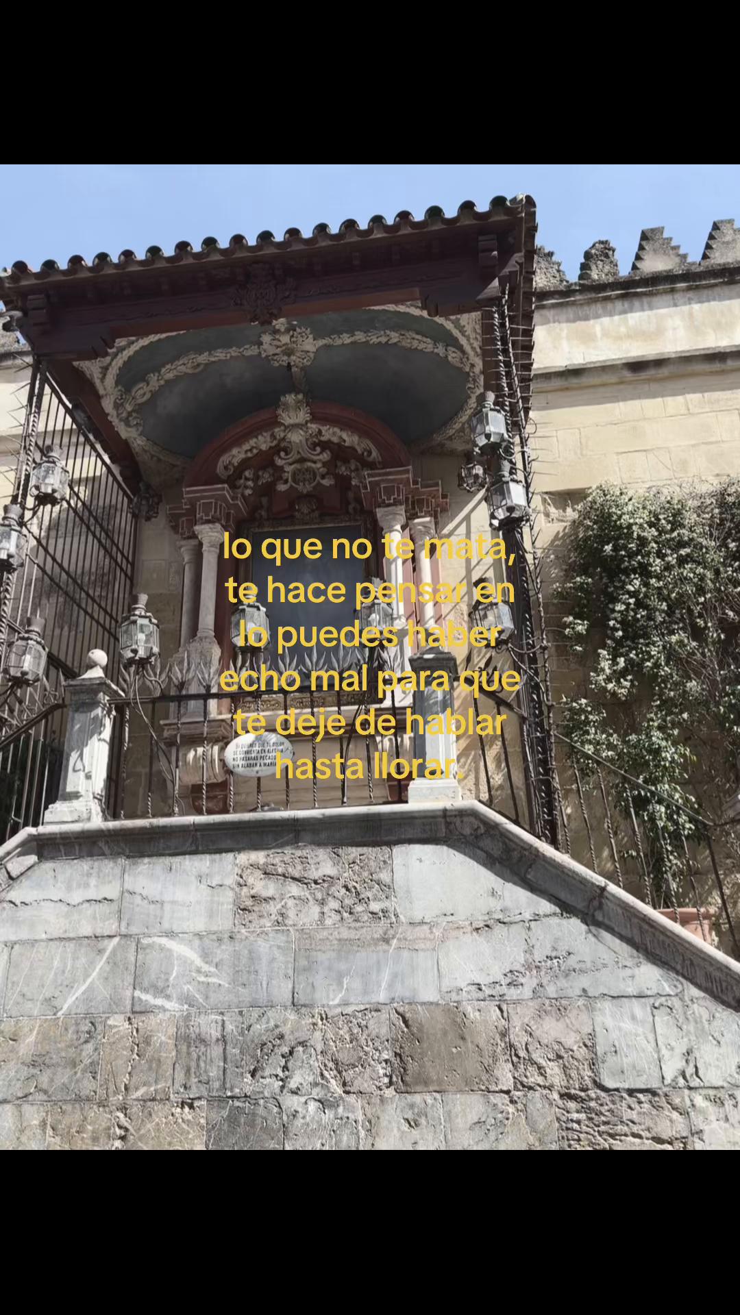 @user1845140violeta
