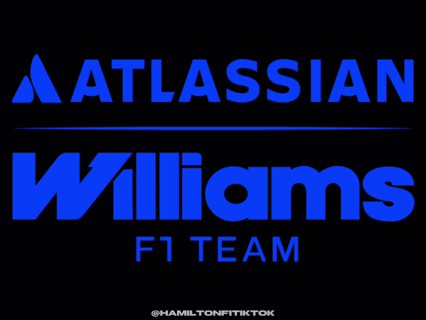 @hamiltonf1tiktok