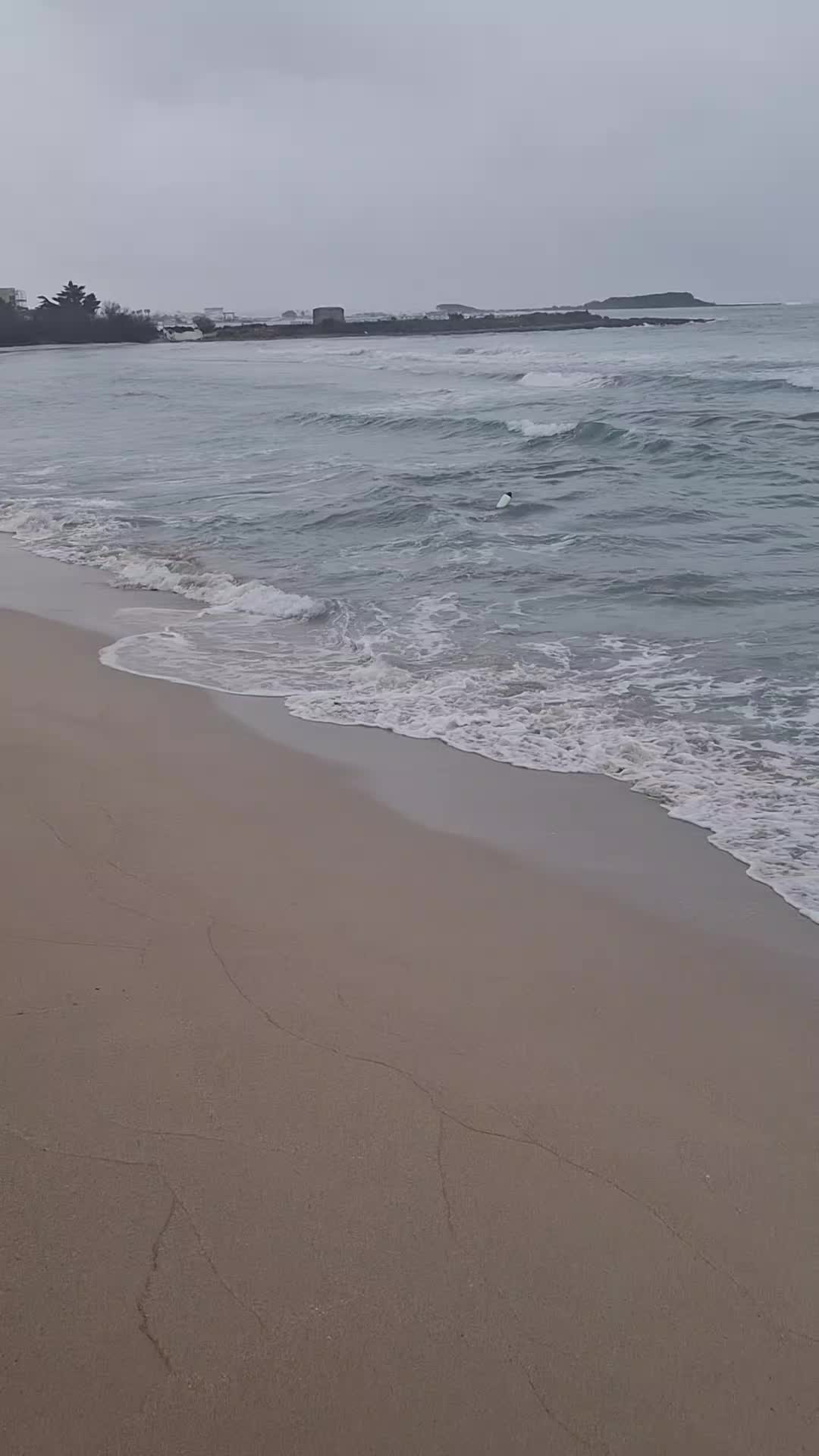 @Gianpiero