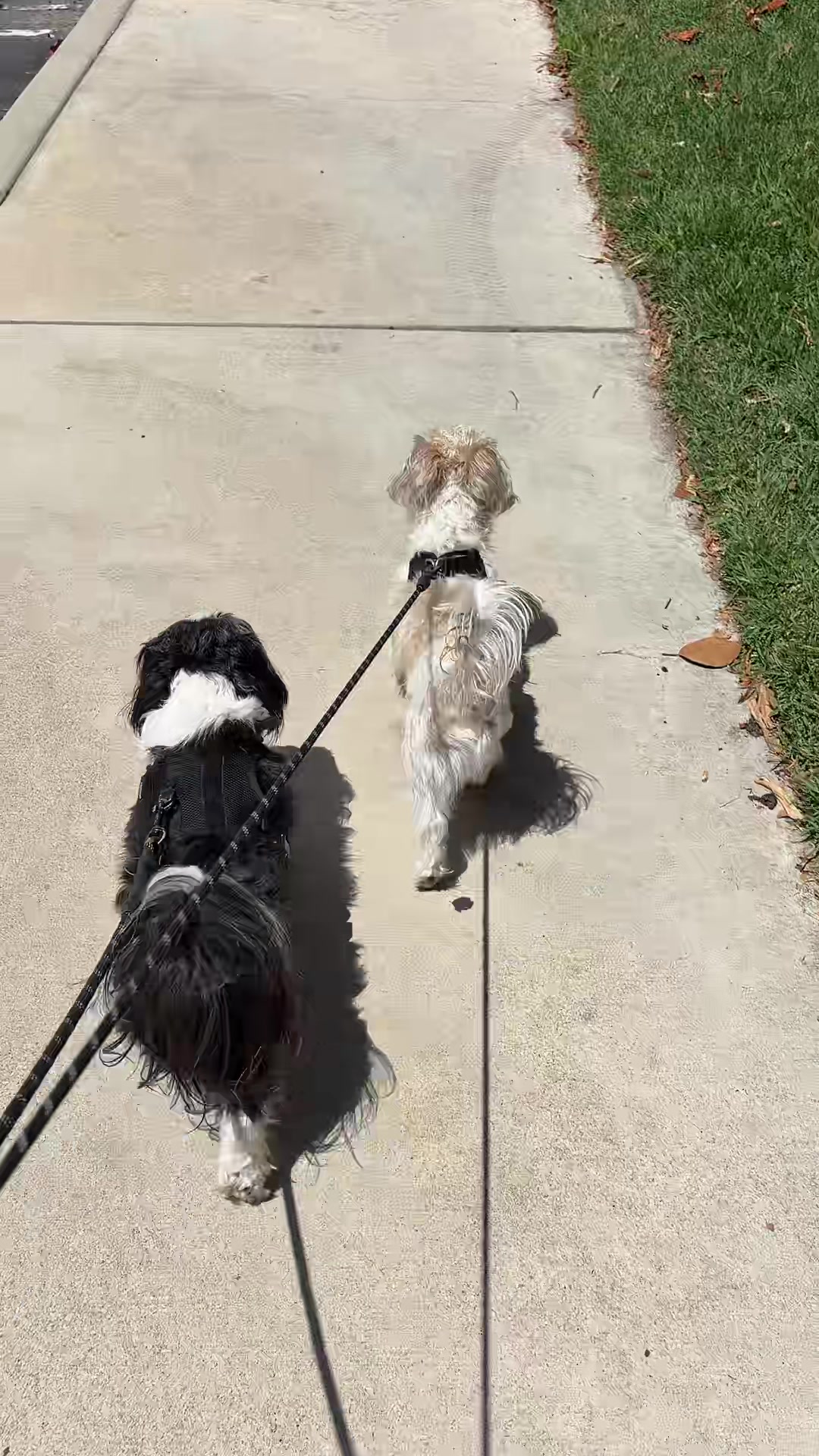 @livinlifewithsugieandsonny