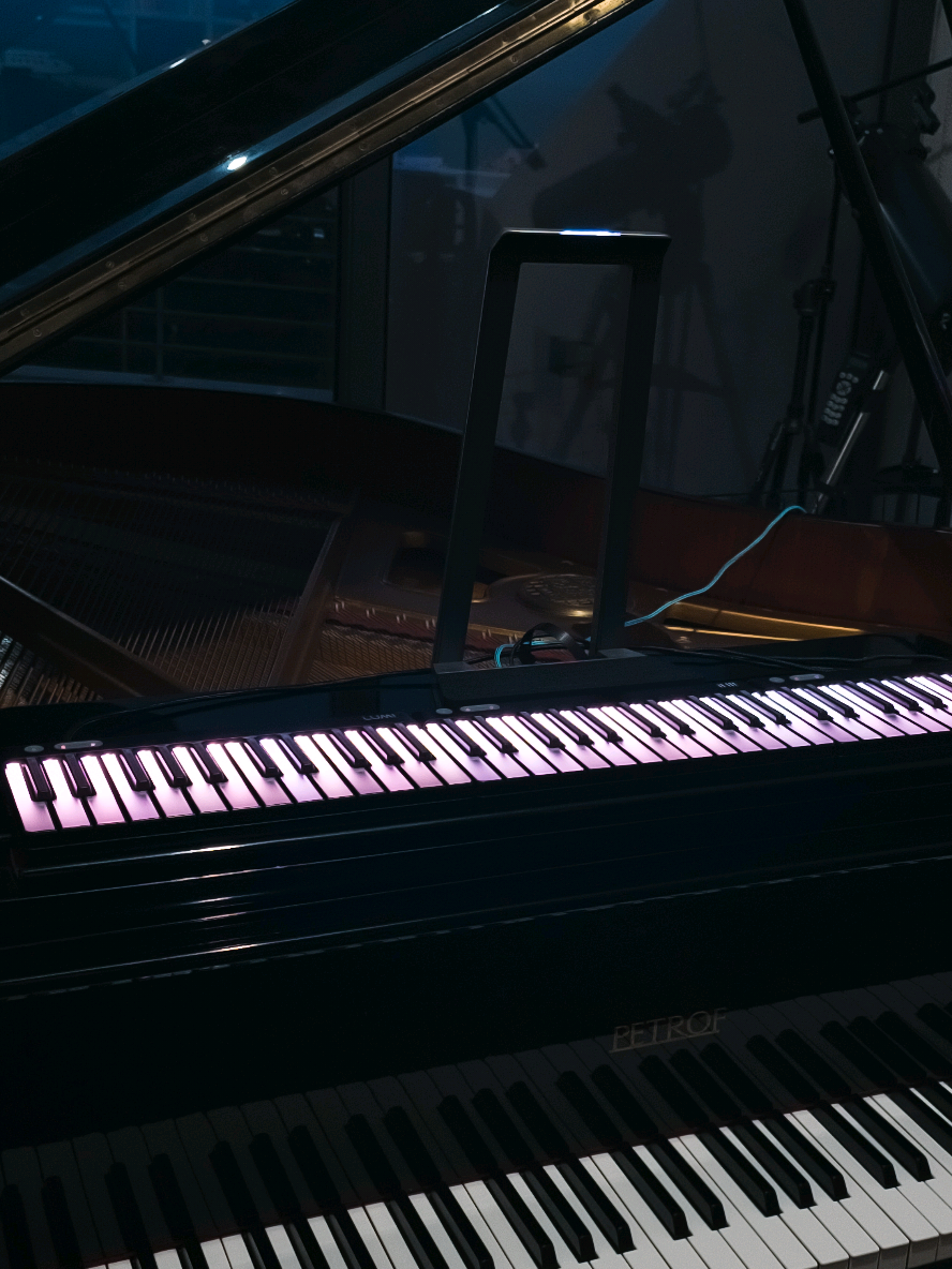 @Leonardo the Space Pianist