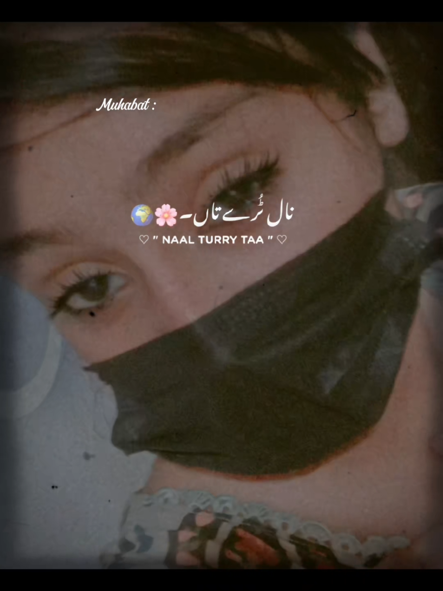 @ranikhan412