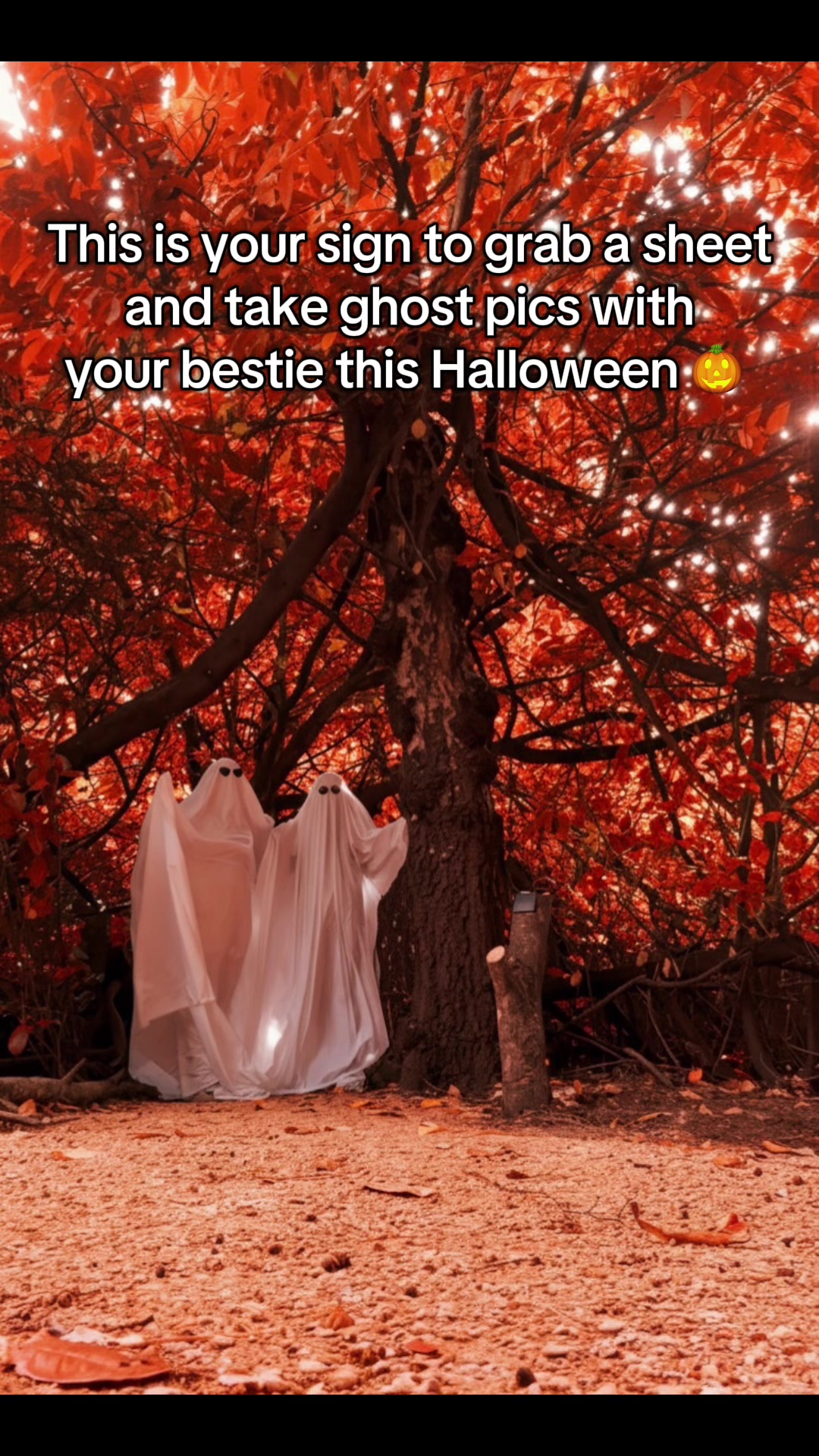 @Pip