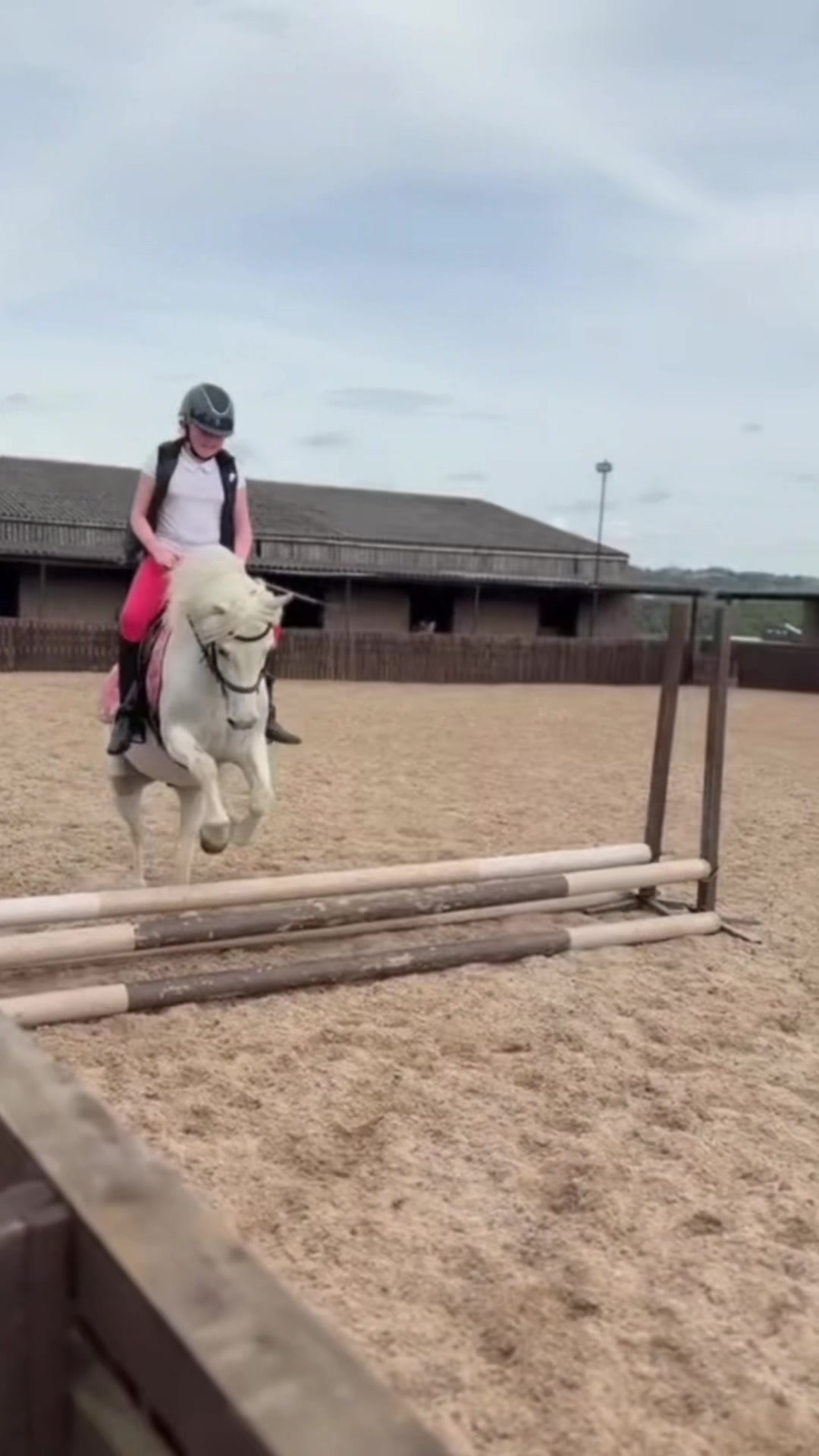 @LottiesHorseAdventures🦄🐴