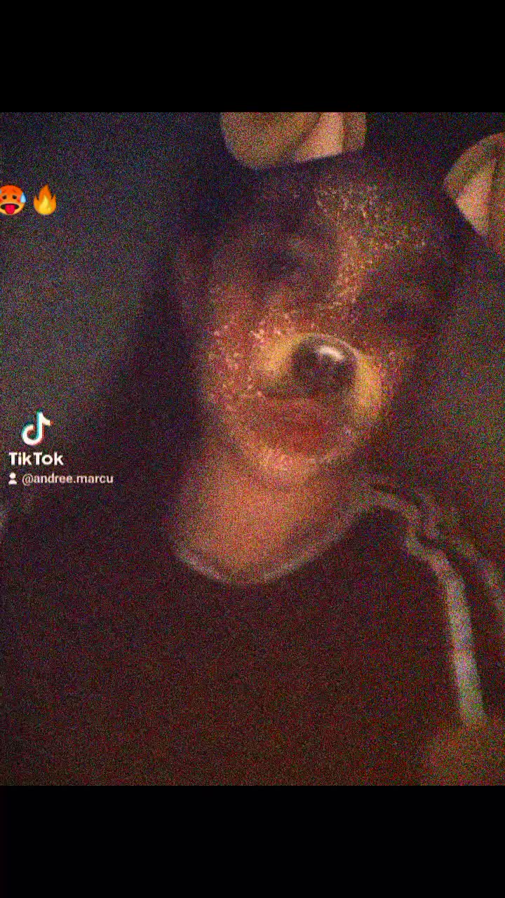 @deaa. andreea&hearts;️💕