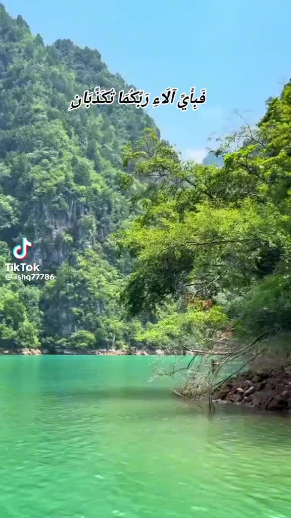 @Ayesha786