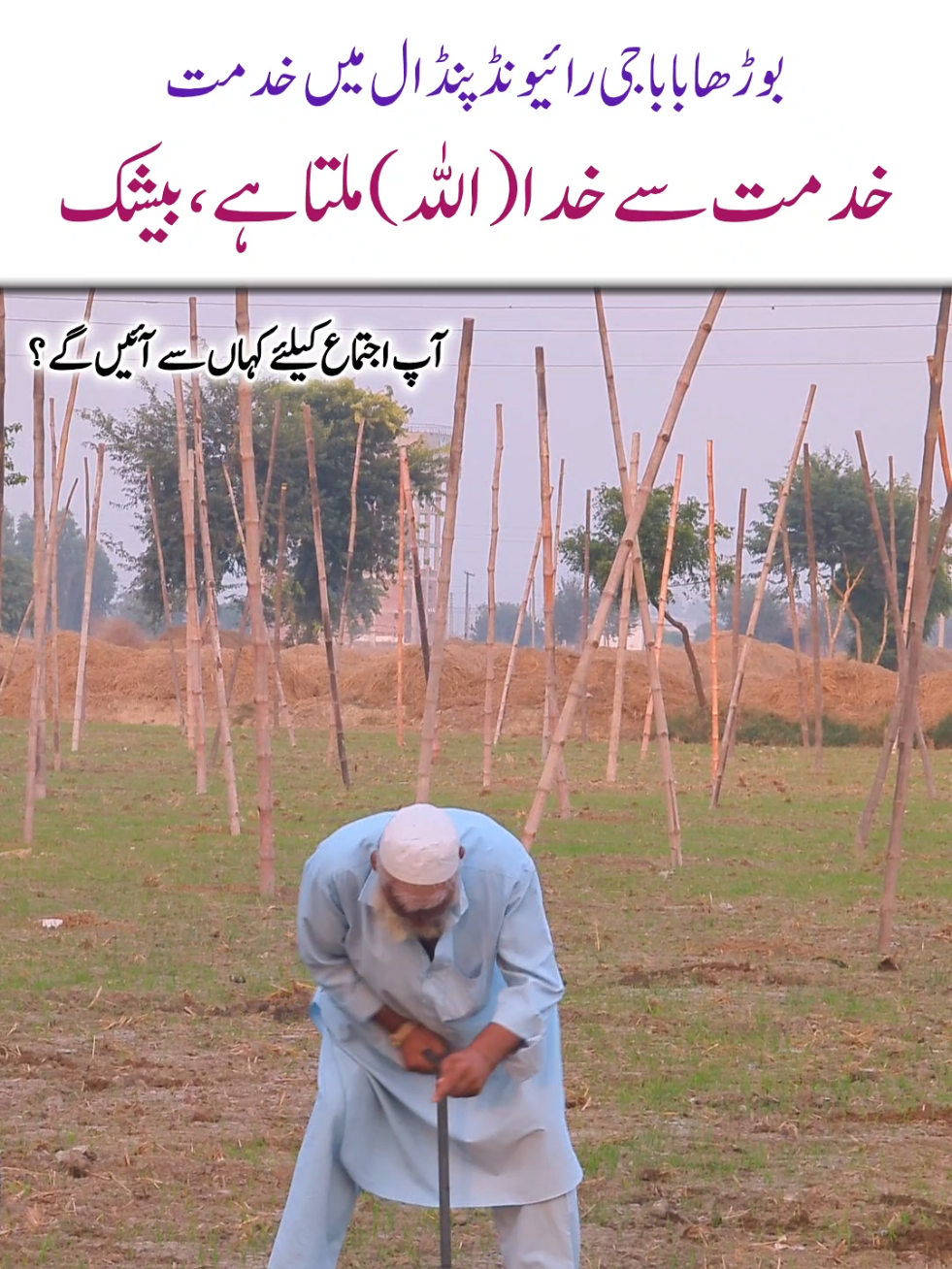@Salman Ummati®