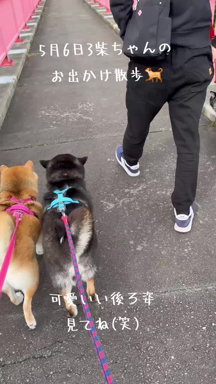 @111シンゴ