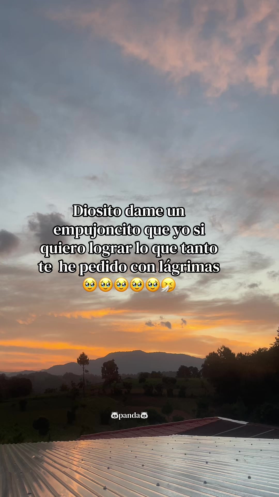 @chica06panda