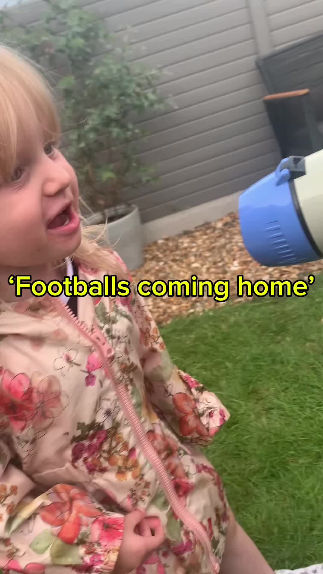 @littlebantampip