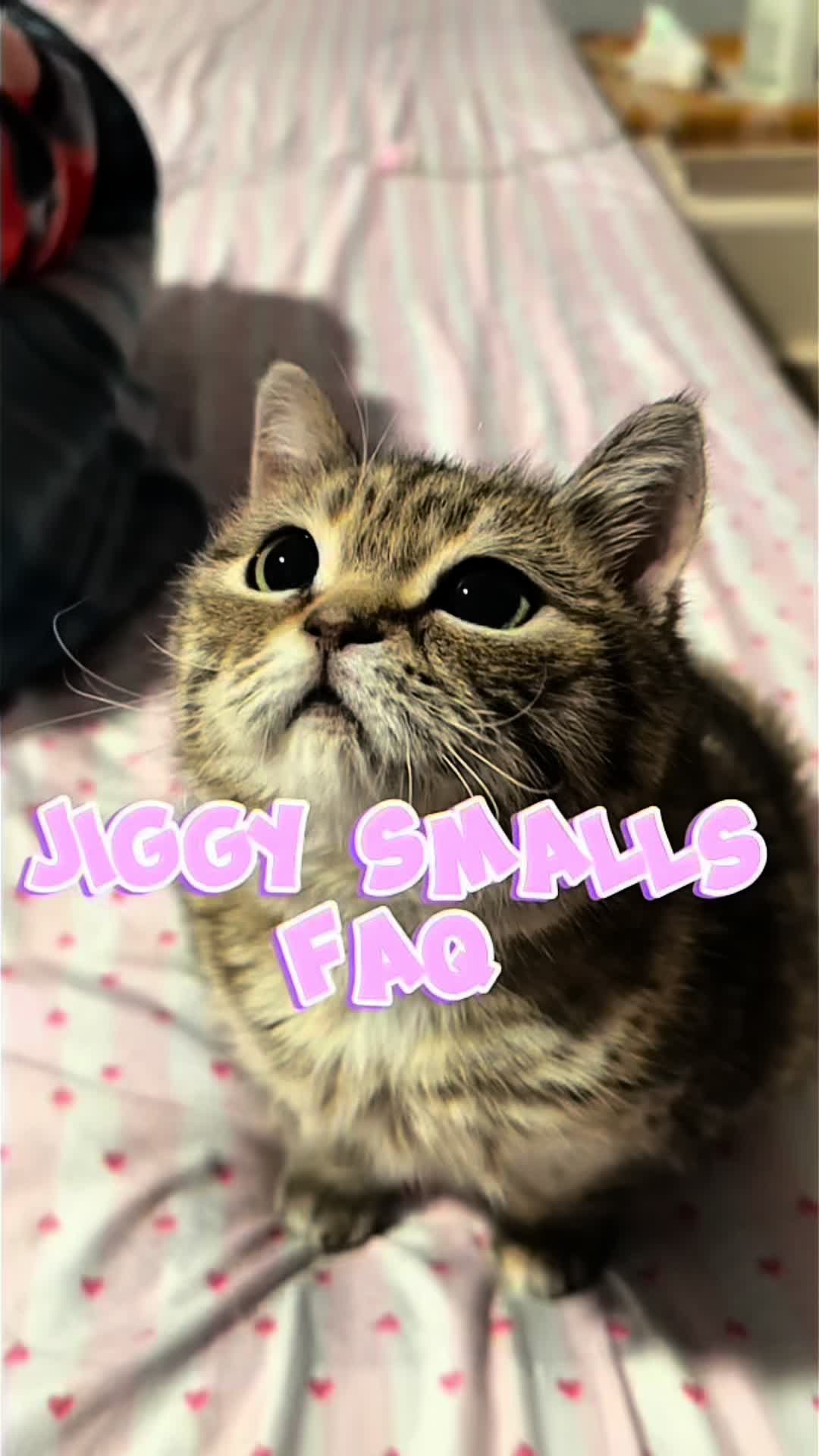 @𝓜𝓮𝓵𝓸𝓭𝔂 & 𝓙𝓲𝓰𝓰𝔂