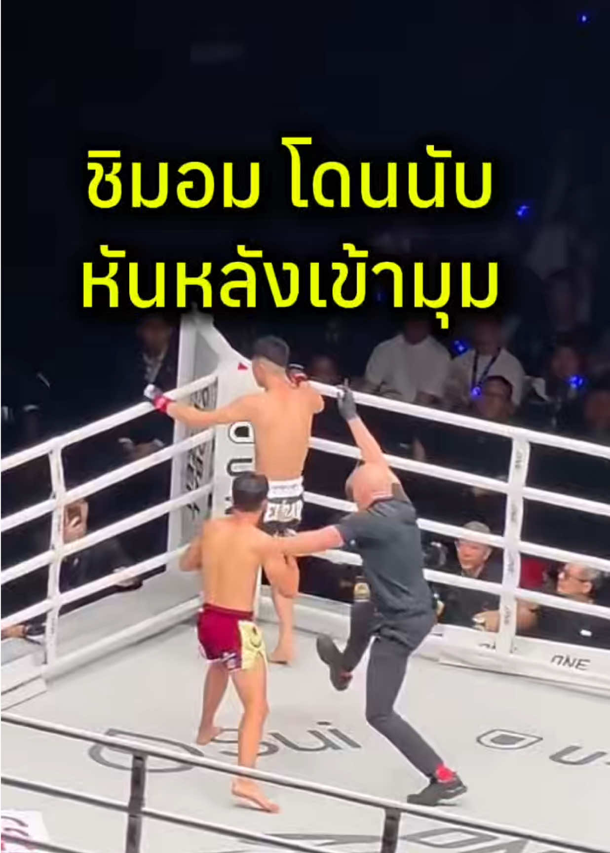 @mongkol_konmuay