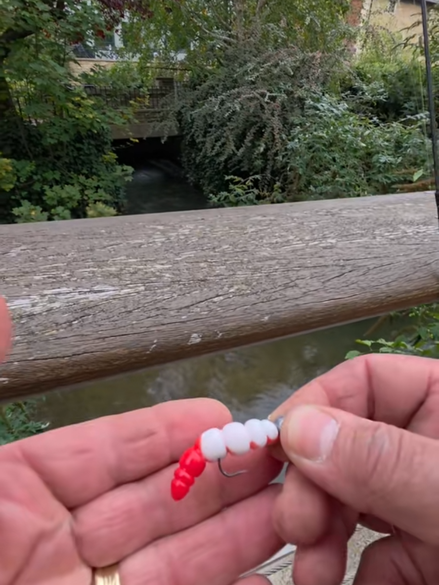 @BF Angler