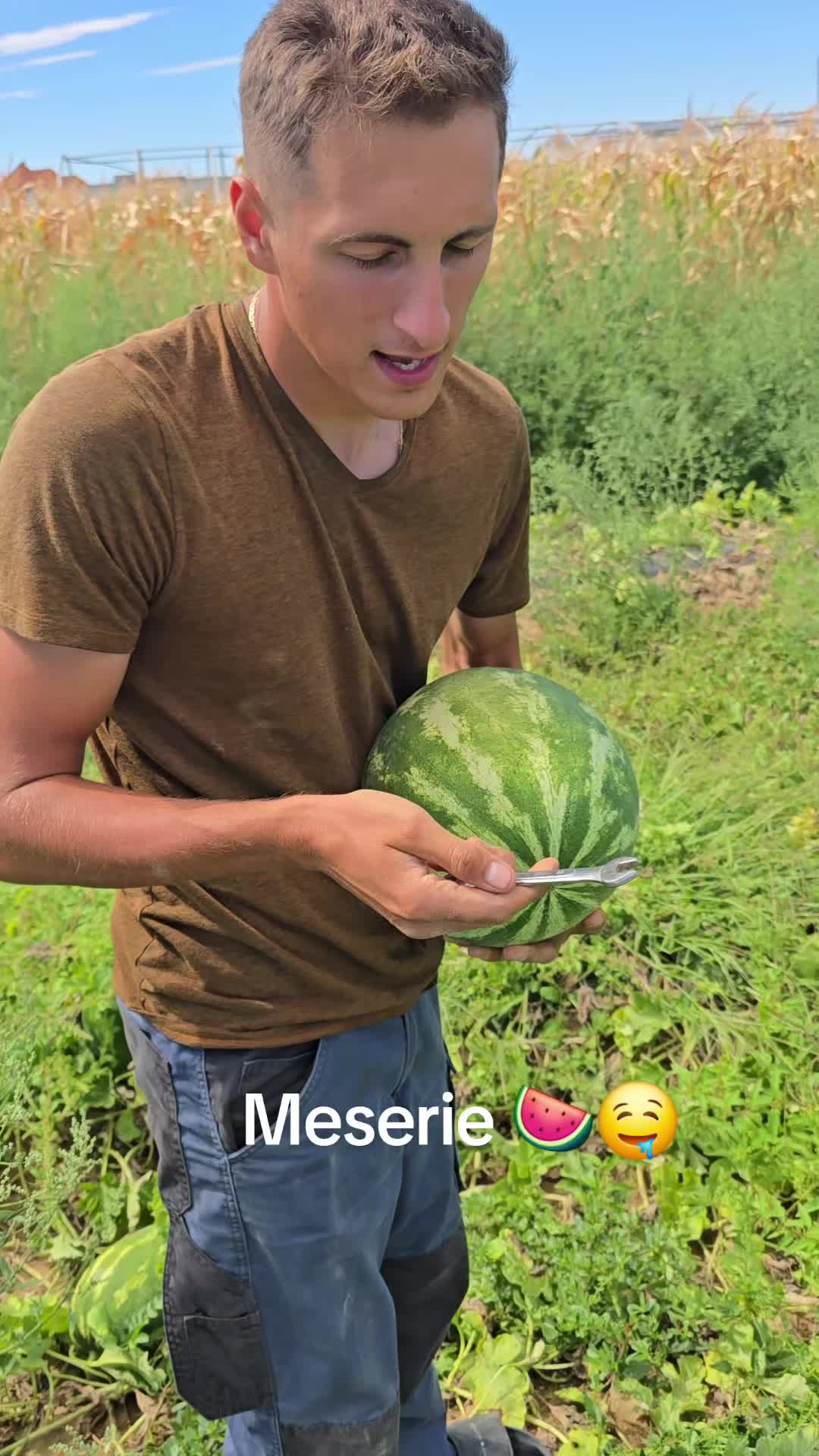 @Faze Farm