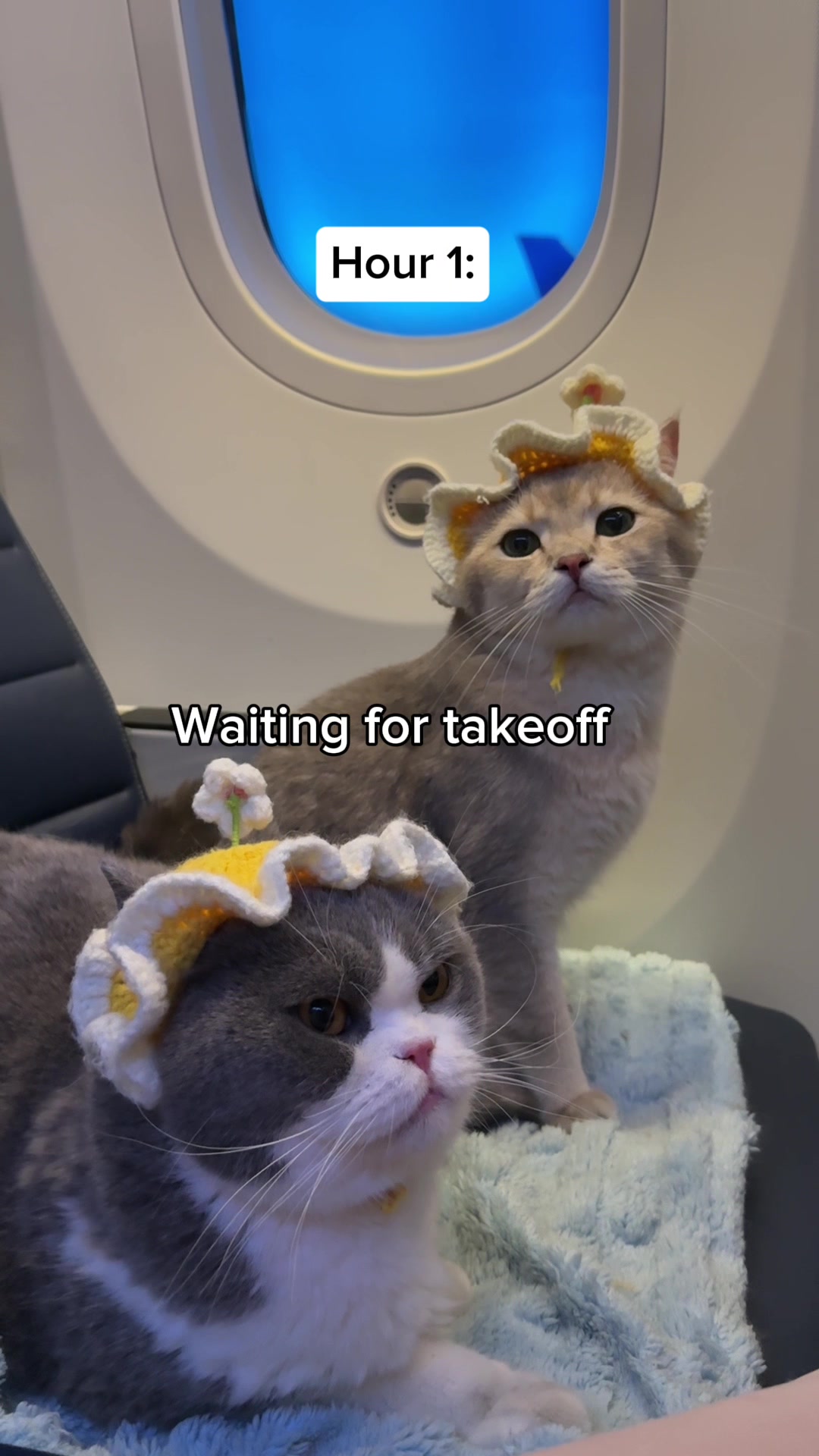 @Prince Louie 🦁 & Todd 🐼
