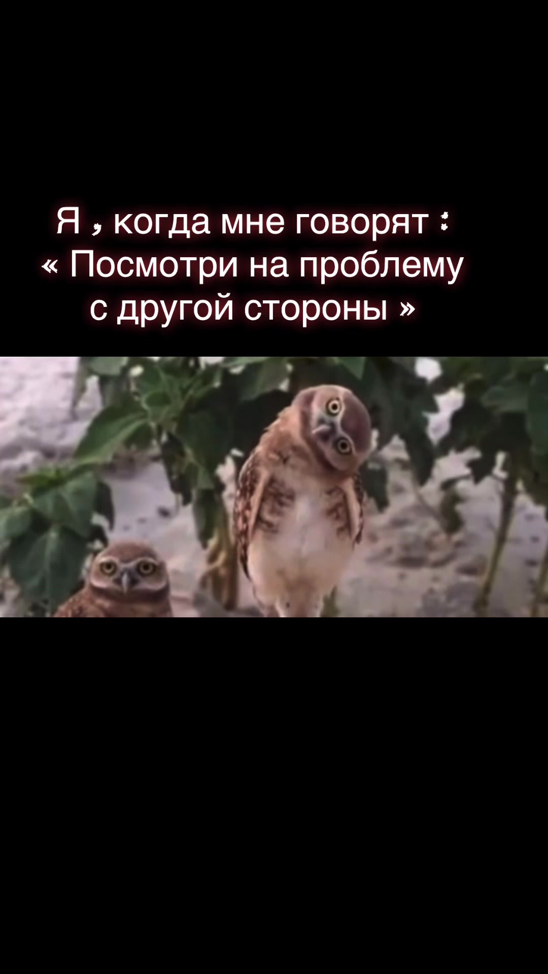 @olga