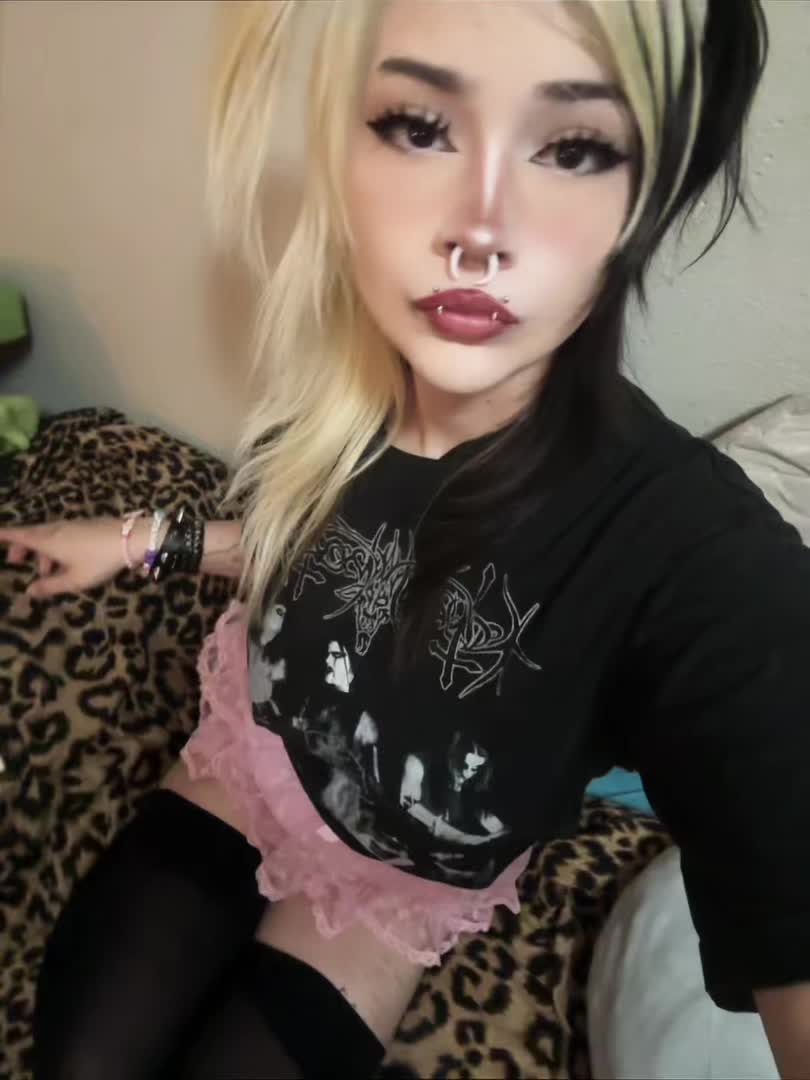@Primeal
