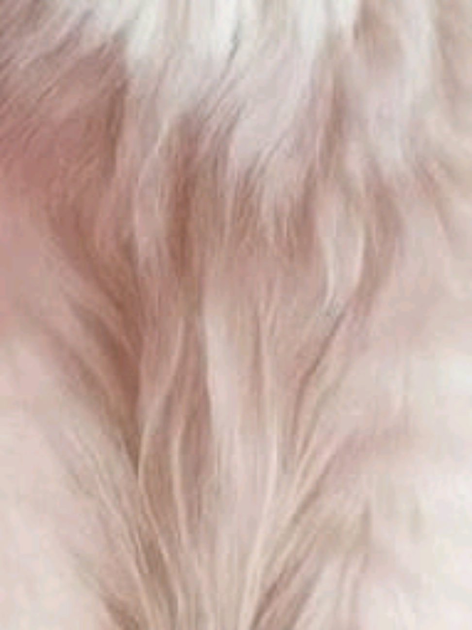 @νιяα.мυѕιᴄᥫ᭡