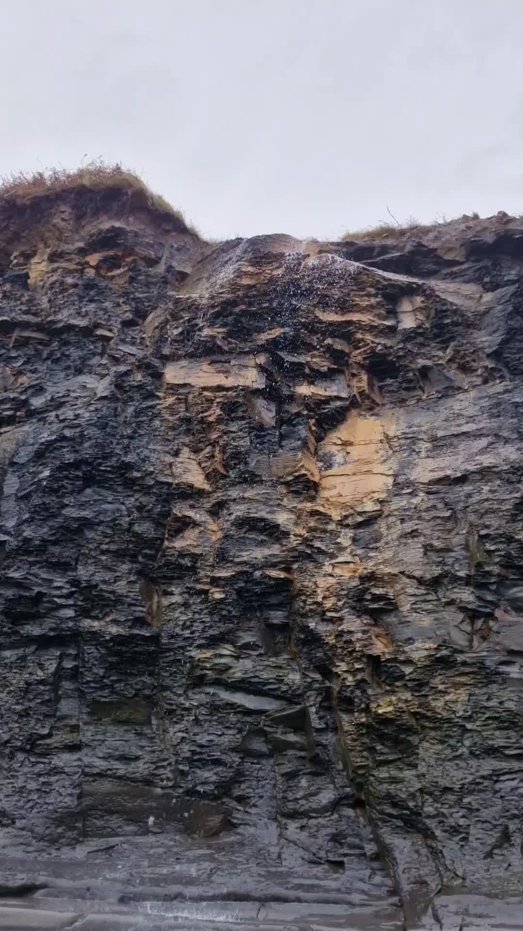 @All About The Fossils