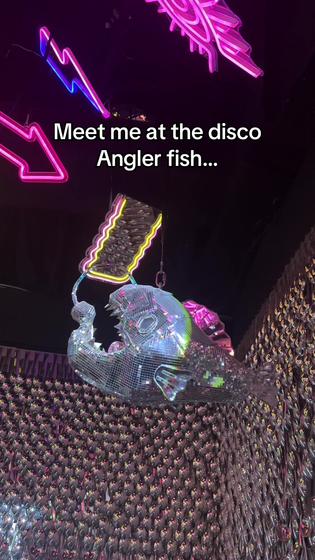 @Nicki.nautilus
