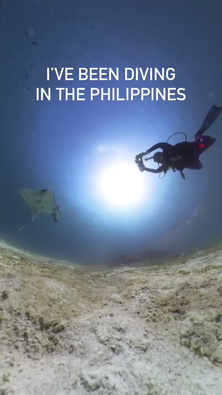 @Scuba Diving with Ara