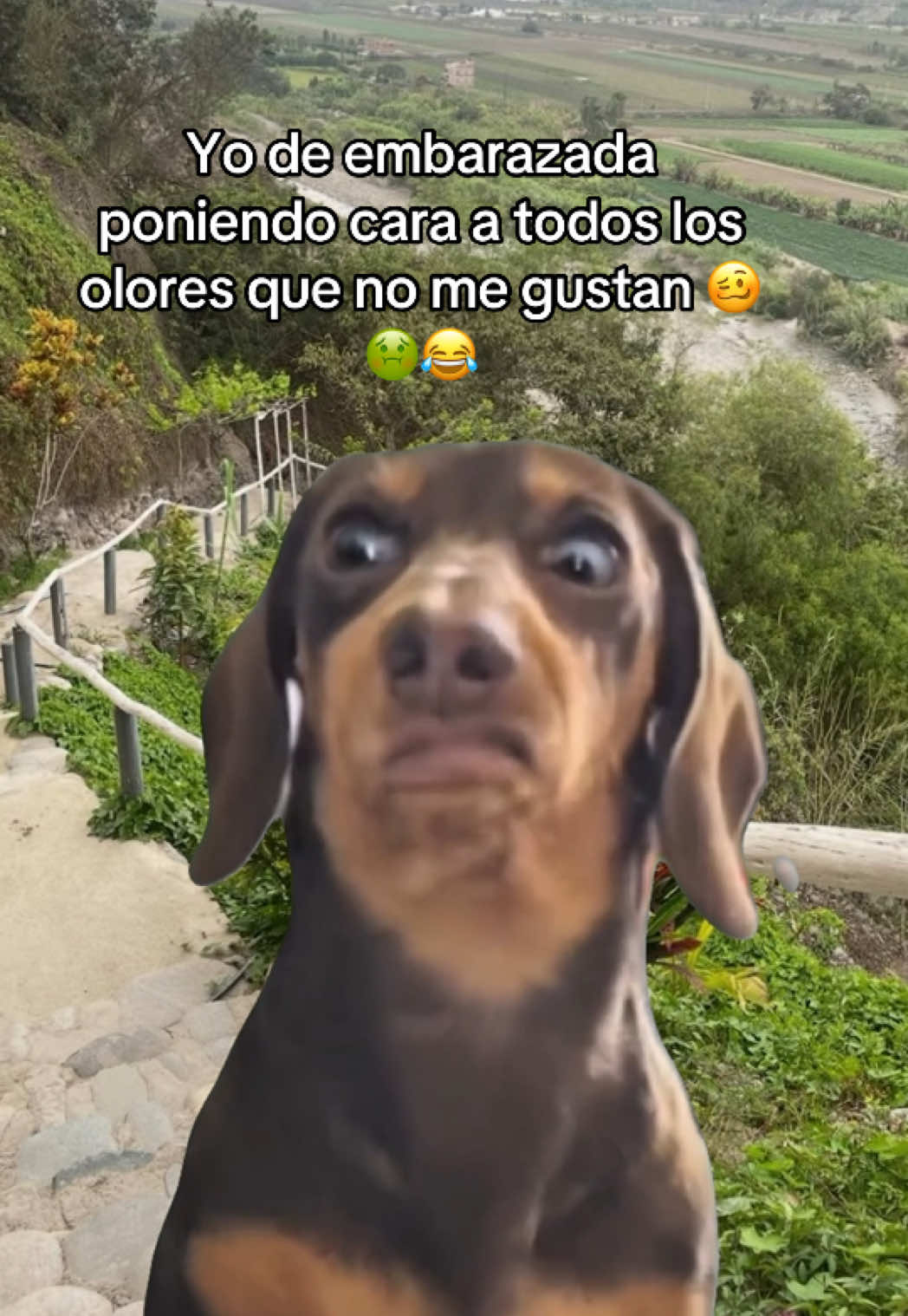 @lizzyhappytips